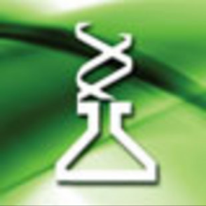 纽勤中国